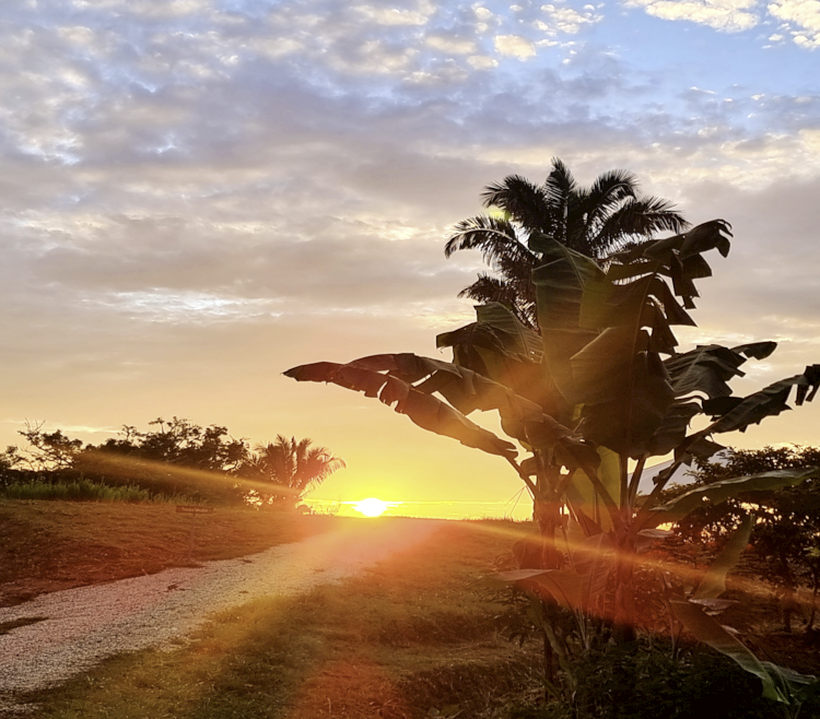 Captura de pantalla 2025-11-10 a la(s) 1.20.19 p.m.